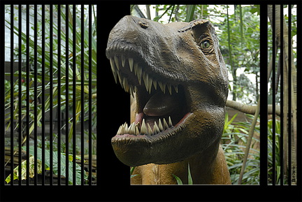Dino